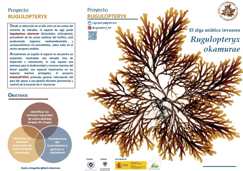 Folleto Rugulopterix okamurae