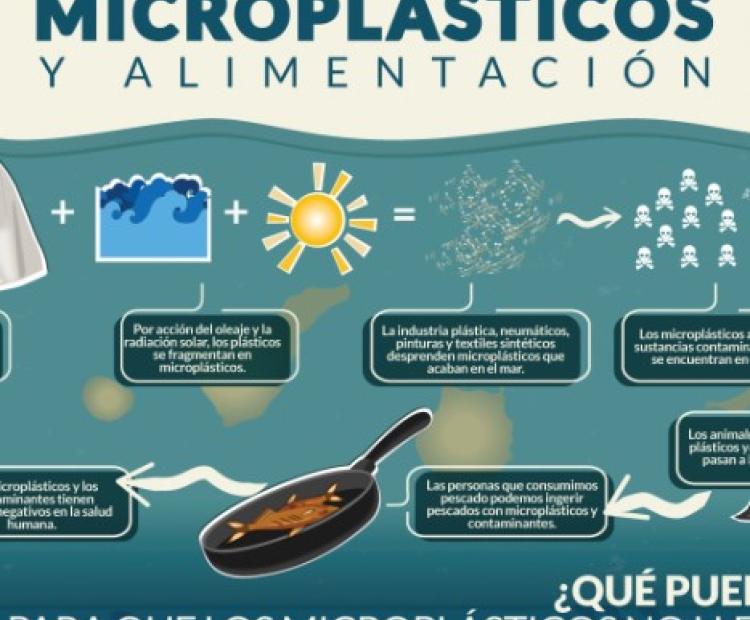 Poster Bandera Azul y LIDL: Microplásticos y Alimentación