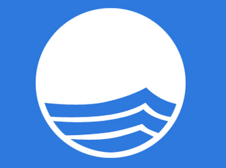 Blue Flag Logo