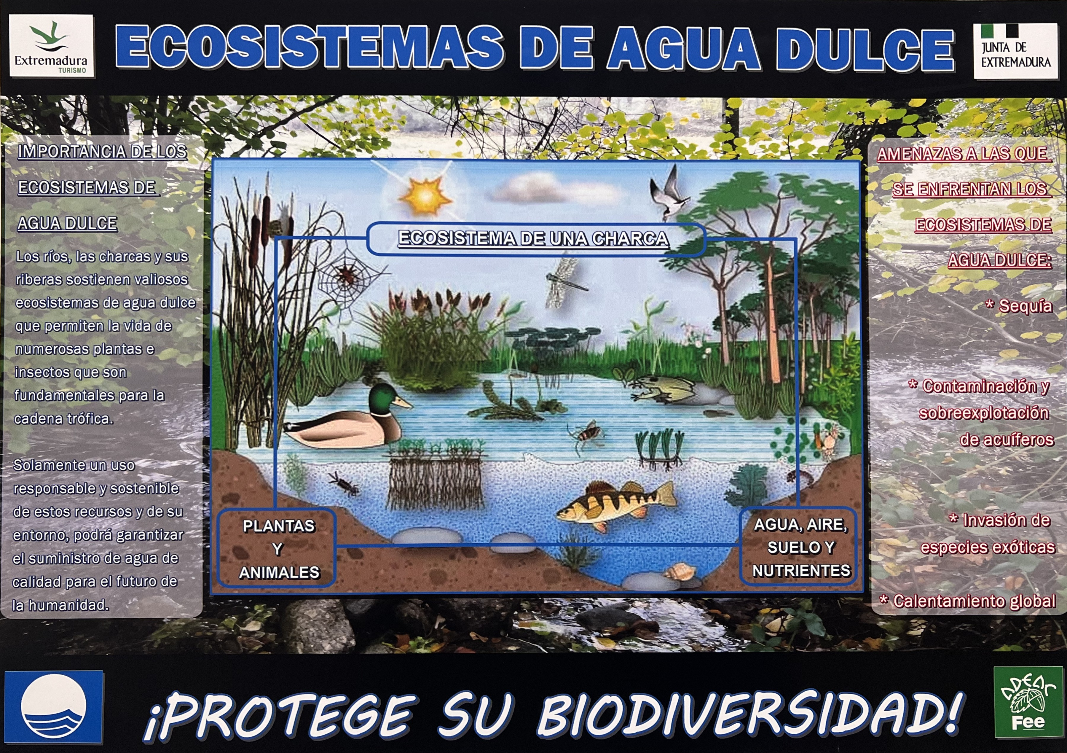 Carteles Ecosistemas de Agua Dulce