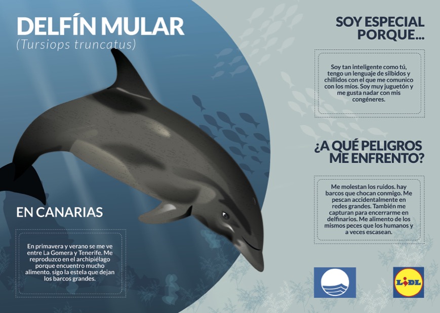 Carteles biodiversidad marina de las Islas Canarias