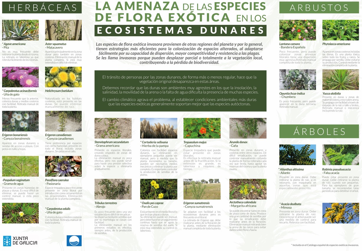 Cartel especies invasoras