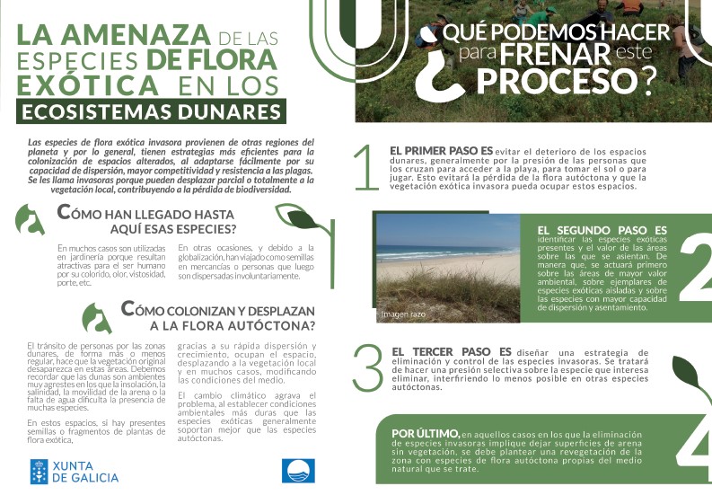 Folleto efectos de la flora invasora sobre los sistemas dunares