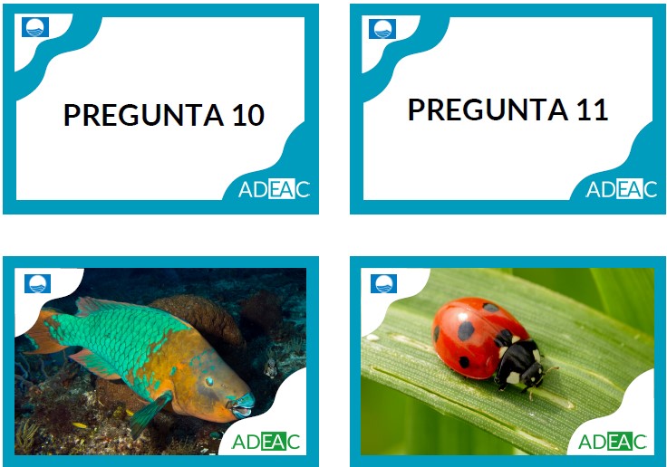 Juego especies contra el cambio climático