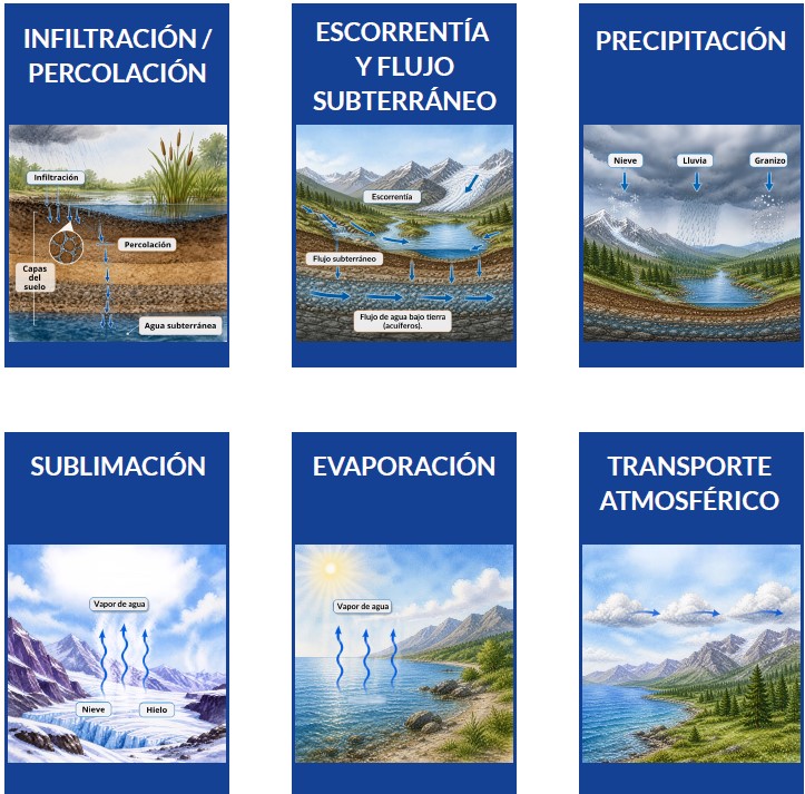 Actividad Ciclo del Agua