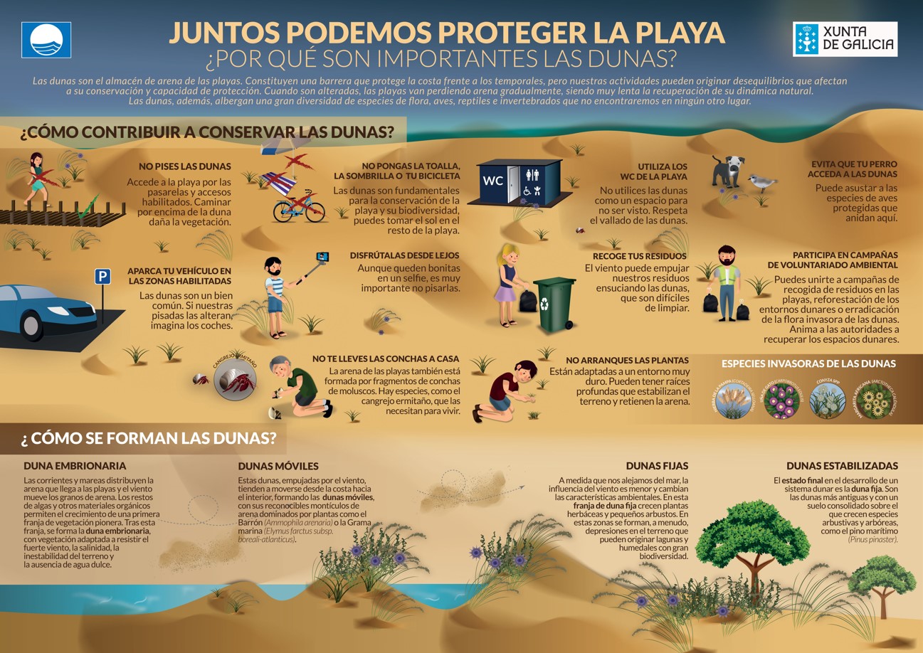 Poster protección dunar