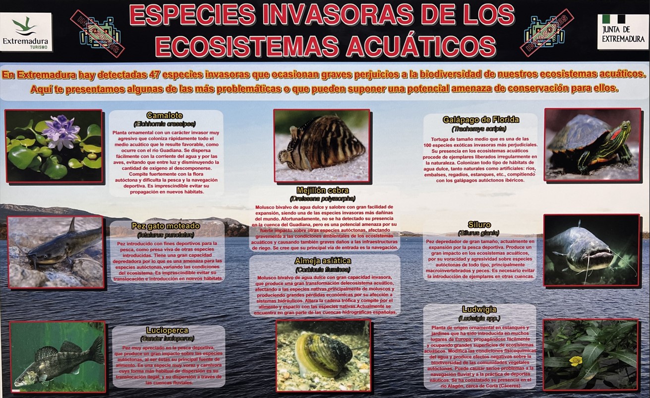 Especies exóticas invasoras