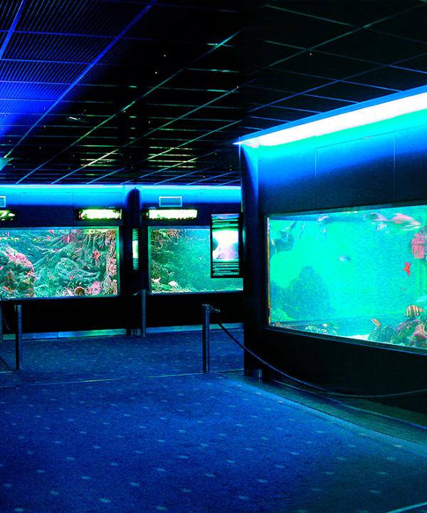 Museo del Mar (Santa Pola)