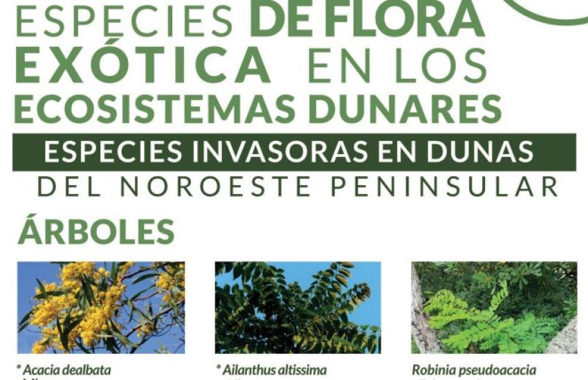 Poster especies invasoras en dunas de Galicia