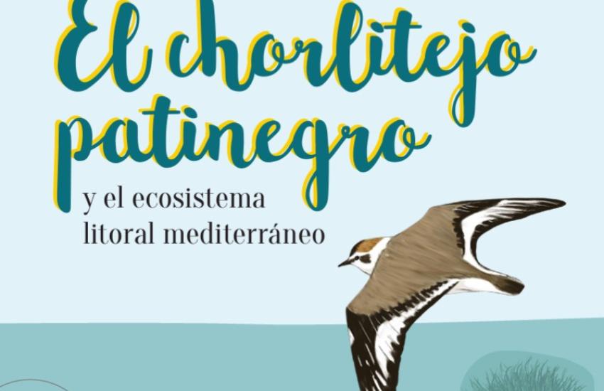 El chorlitejo patinegro y el ecosistema litoral mediterráneo
