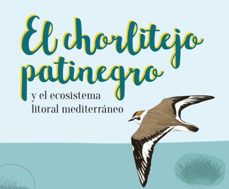 El chorlitejo patinegro y el ecosistema litoral mediterráneo
