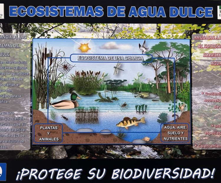 Carteles Ecosistemas de Agua Dulce