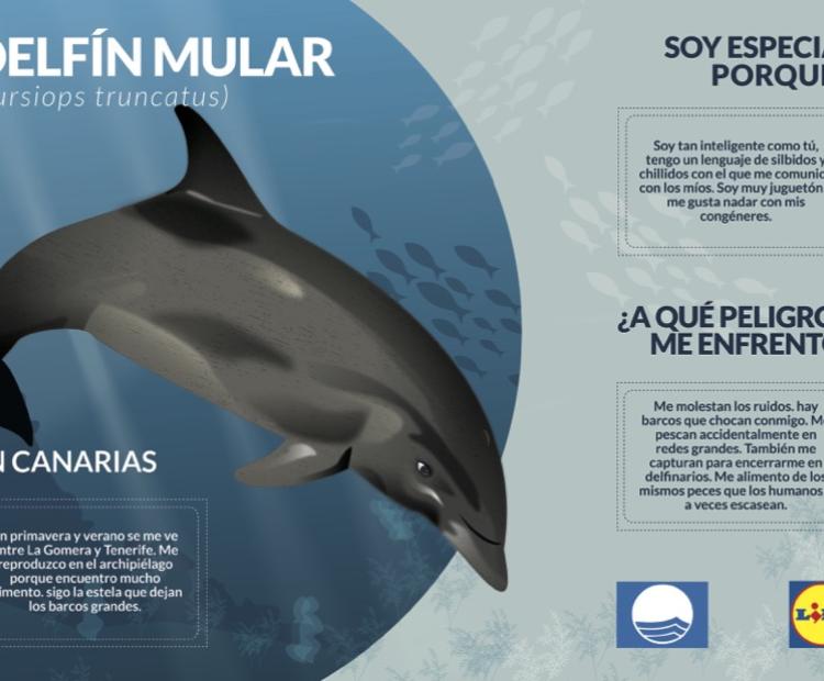 Carteles biodiversidad marina de las Islas Canarias