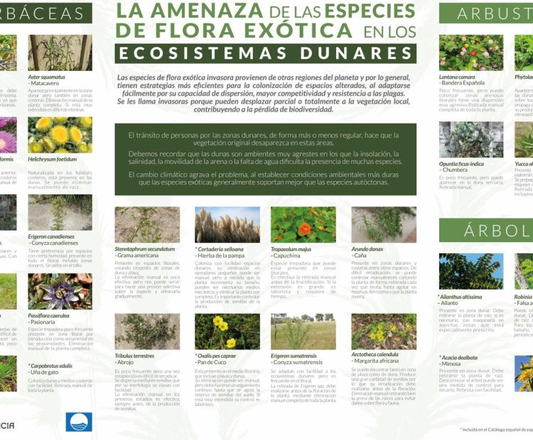 Cartel especies invasoras