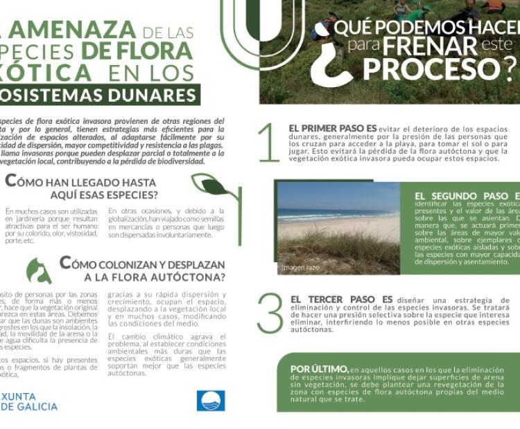 Folleto efectos de la flora invasora sobre los sistemas dunares