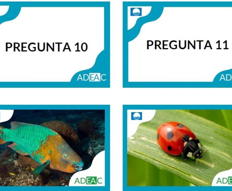 Juego especies contra el cambio climático