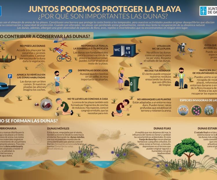 Poster protección dunar