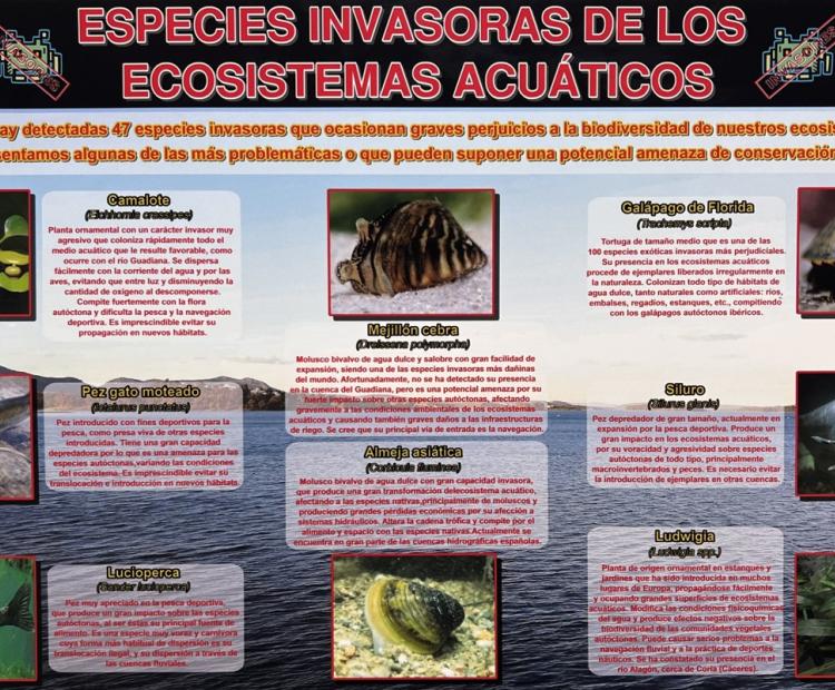 Especies exóticas invasoras